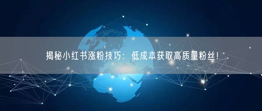 揭秘小红书涨粉技巧：低成本获取高质量粉丝！