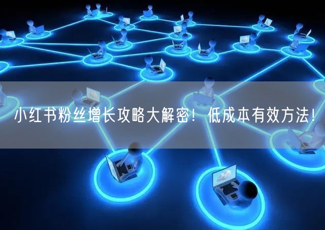 小红书粉丝增长攻略大解密！低成本有效方法！