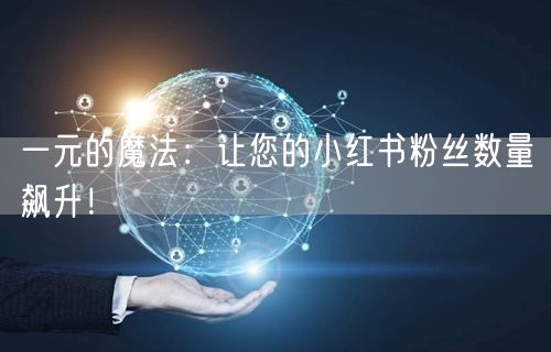 一元的魔法：让您的小红书粉丝数量飙升！