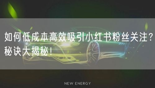 如何低成本高效吸引小红书粉丝关注？秘诀大揭秘！