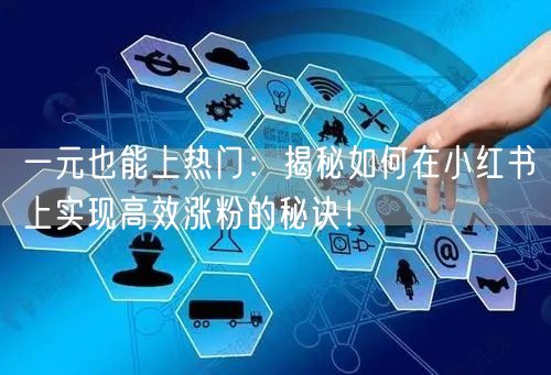 一元也能上热门：揭秘如何在小红书上实现高效涨粉的秘诀！