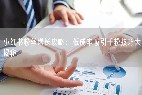 小红书粉丝增长攻略：低成本吸引千粉技巧大揭秘