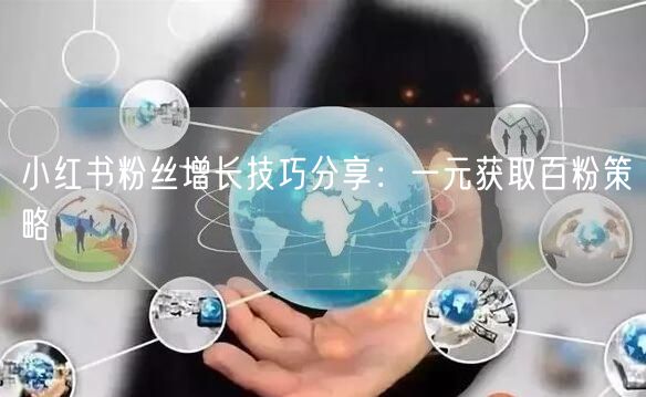 小红书粉丝增长技巧分享：一元获取百粉策略