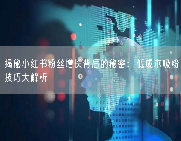 揭秘小红书粉丝增长背后的秘密：低成本吸粉技巧大解析