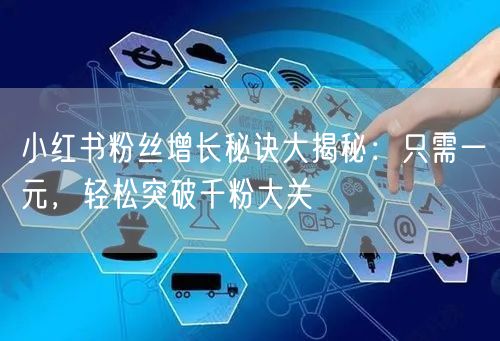 小红书粉丝增长秘诀大揭秘：只需一元，轻松突破千粉大关