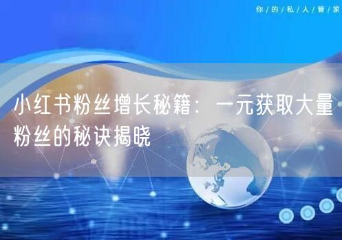 小红书粉丝增长秘籍：一元获取大量粉丝的秘诀揭晓