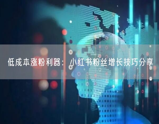 低成本涨粉利器：小红书粉丝增长技巧分享