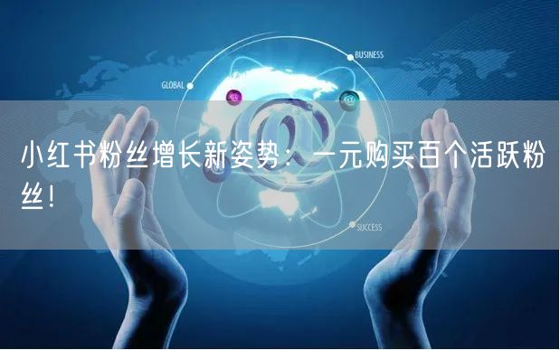 小红书粉丝增长新姿势：一元购买百个活跃粉丝！