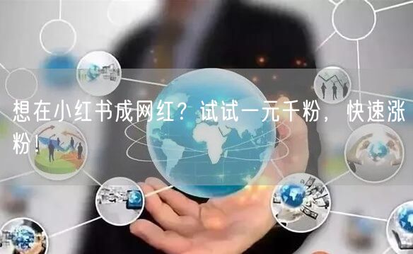 想在小红书成网红？试试一元千粉，快速涨粉！