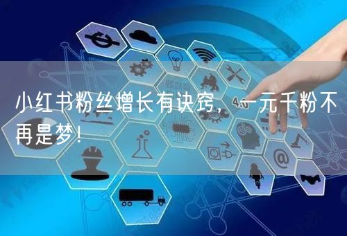 小红书粉丝增长有诀窍，一元千粉不再是梦！