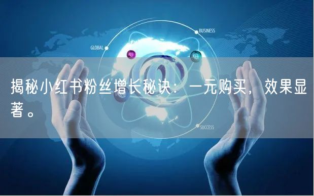 揭秘小红书粉丝增长秘诀：一元购买，效果显著。