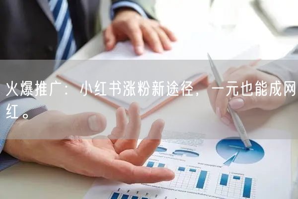 火爆推广：小红书涨粉新途径，一元也能成网红。