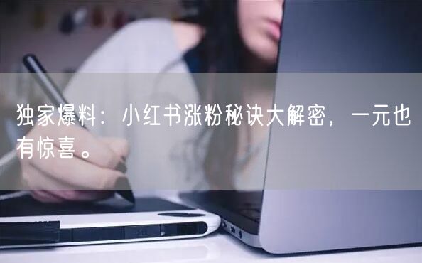 独家爆料：小红书涨粉秘诀大解密，一元也有惊喜。