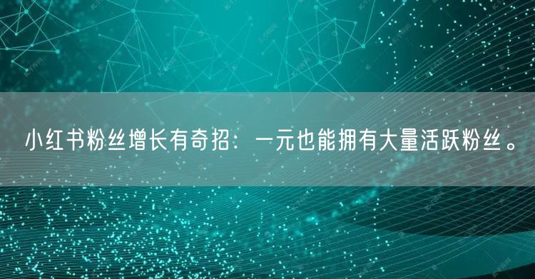 小红书粉丝增长有奇招：一元也能拥有大量活跃粉丝。
