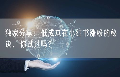 独家分享：低成本在小红书涨粉的秘诀，你试过吗？