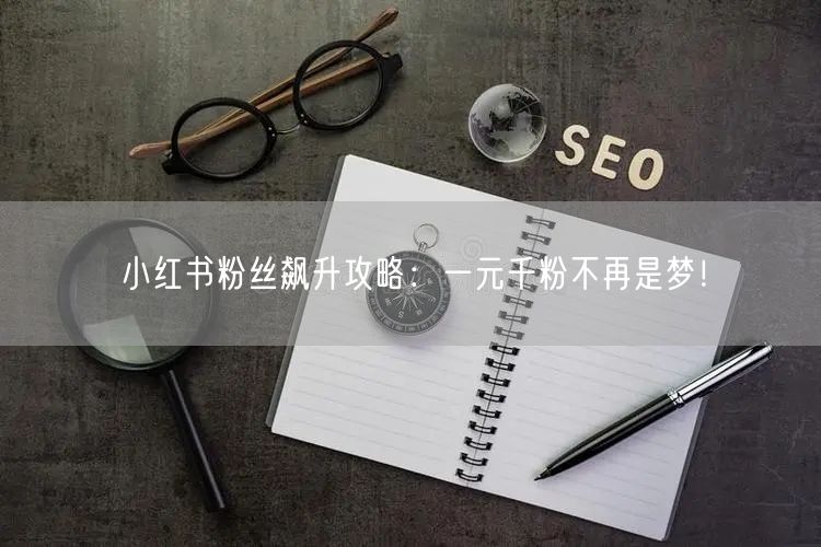 小红书粉丝飙升攻略：一元千粉不再是梦！