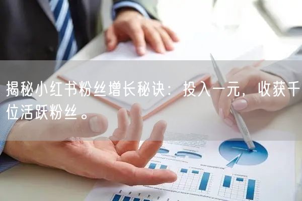 揭秘小红书粉丝增长秘诀：投入一元，收获千位活跃粉丝。