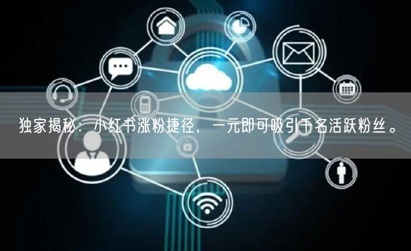 独家揭秘：小红书涨粉捷径，一元即可吸引千名活跃粉丝。