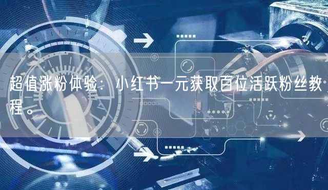 超值涨粉体验：小红书一元获取百位活跃粉丝教程。