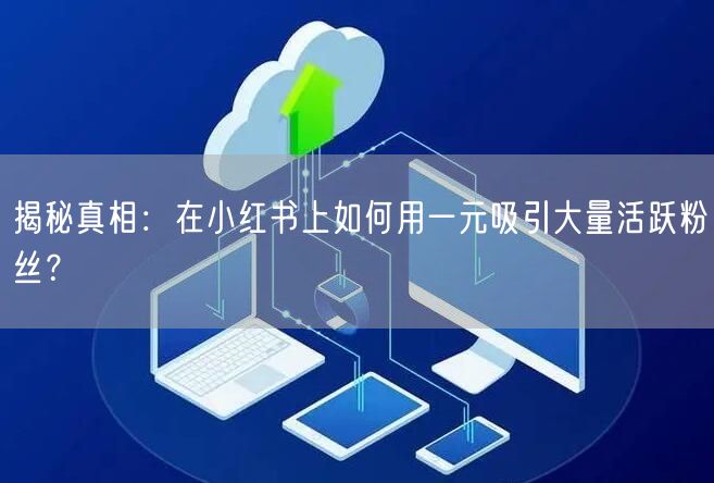 揭秘真相：在小红书上如何用一元吸引大量活跃粉丝？
