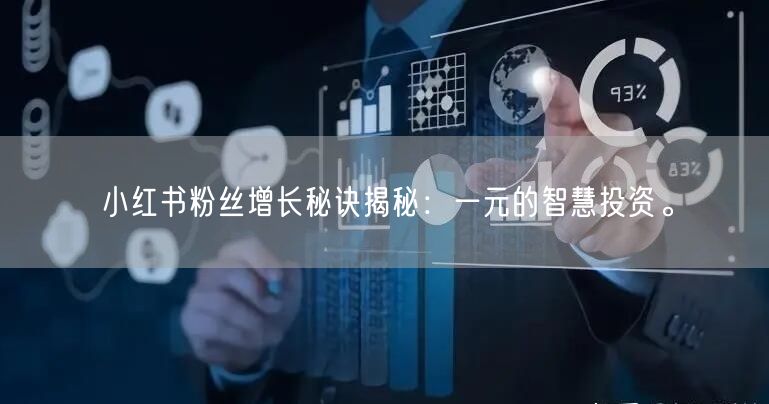 小红书粉丝增长秘诀揭秘：一元的智慧投资。