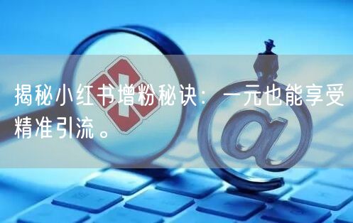 揭秘小红书增粉秘诀：一元也能享受精准引流。