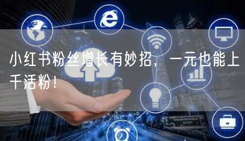 小红书粉丝增长有妙招，一元也能上千活粉！