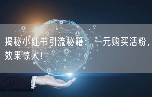 揭秘小红书引流秘籍：一元购买活粉，效果惊人！