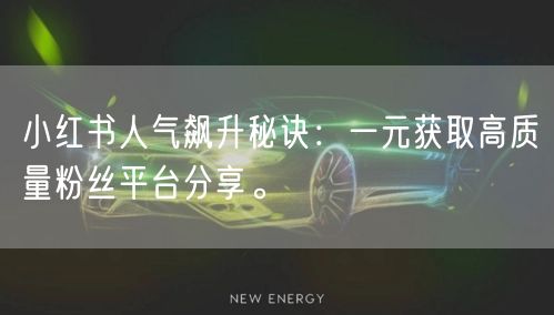 小红书人气飙升秘诀：一元获取高质量粉丝平台分享。