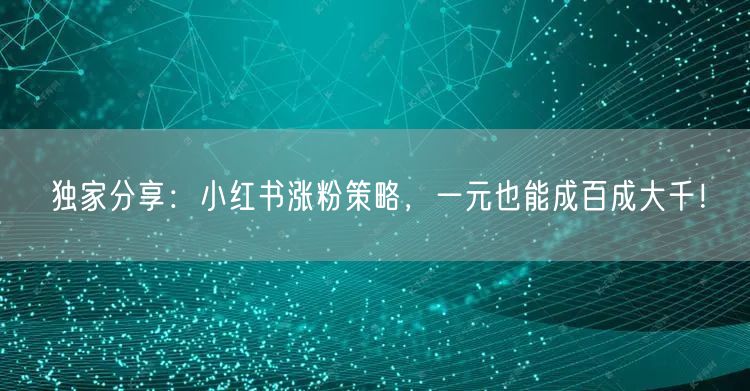 独家分享：小红书涨粉策略，一元也能成百成大千！