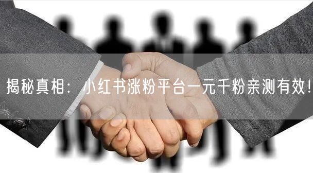 揭秘真相：小红书涨粉平台一元千粉亲测有效！