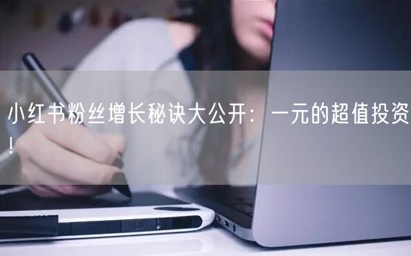 小红书粉丝增长秘诀大公开：一元的超值投资！