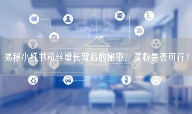 揭秘小红书粉丝增长背后的秘密，买粉是否可行？