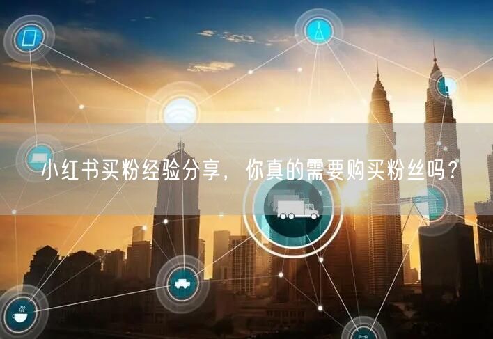 小红书买粉经验分享，你真的需要购买粉丝吗？