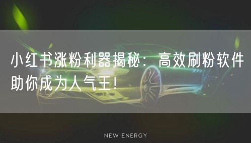 小红书涨粉利器揭秘：高效刷粉软件助你成为人气王！