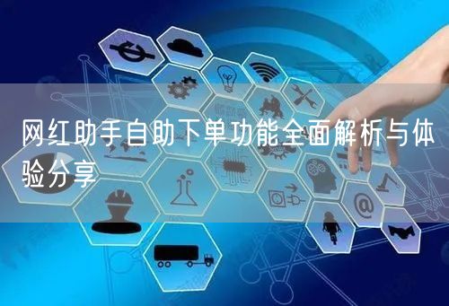 网红助手自助下单功能全面解析与体验分享
