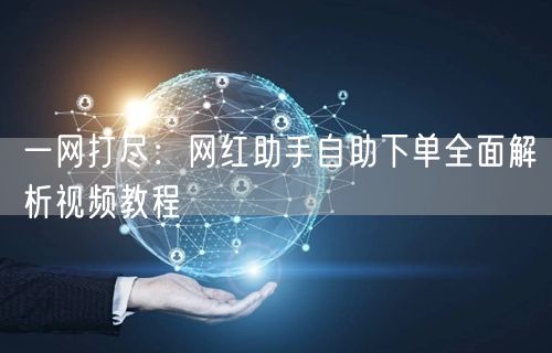 一网打尽：网红助手自助下单全面解析视频教程