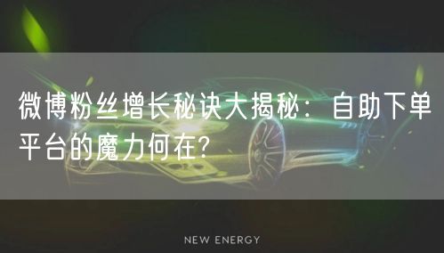 微博粉丝增长秘诀大揭秘：自助下单平台的魔力何在?