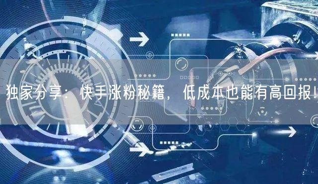 独家分享：快手涨粉秘籍，低成本也能有高回报！